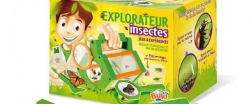 Jeux de découverte de la nature et des insectes