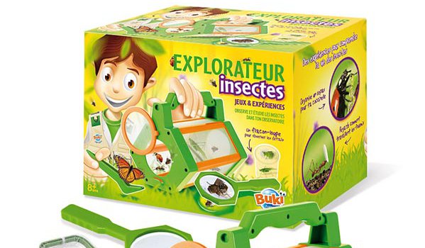 Jeux de découverte de la nature et des insectes