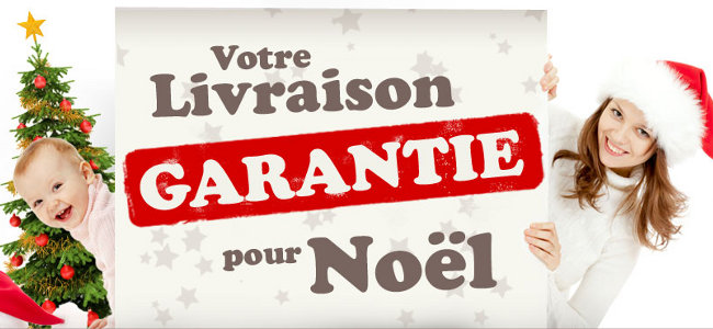 Services de livraison de jouets garantie pour Noël